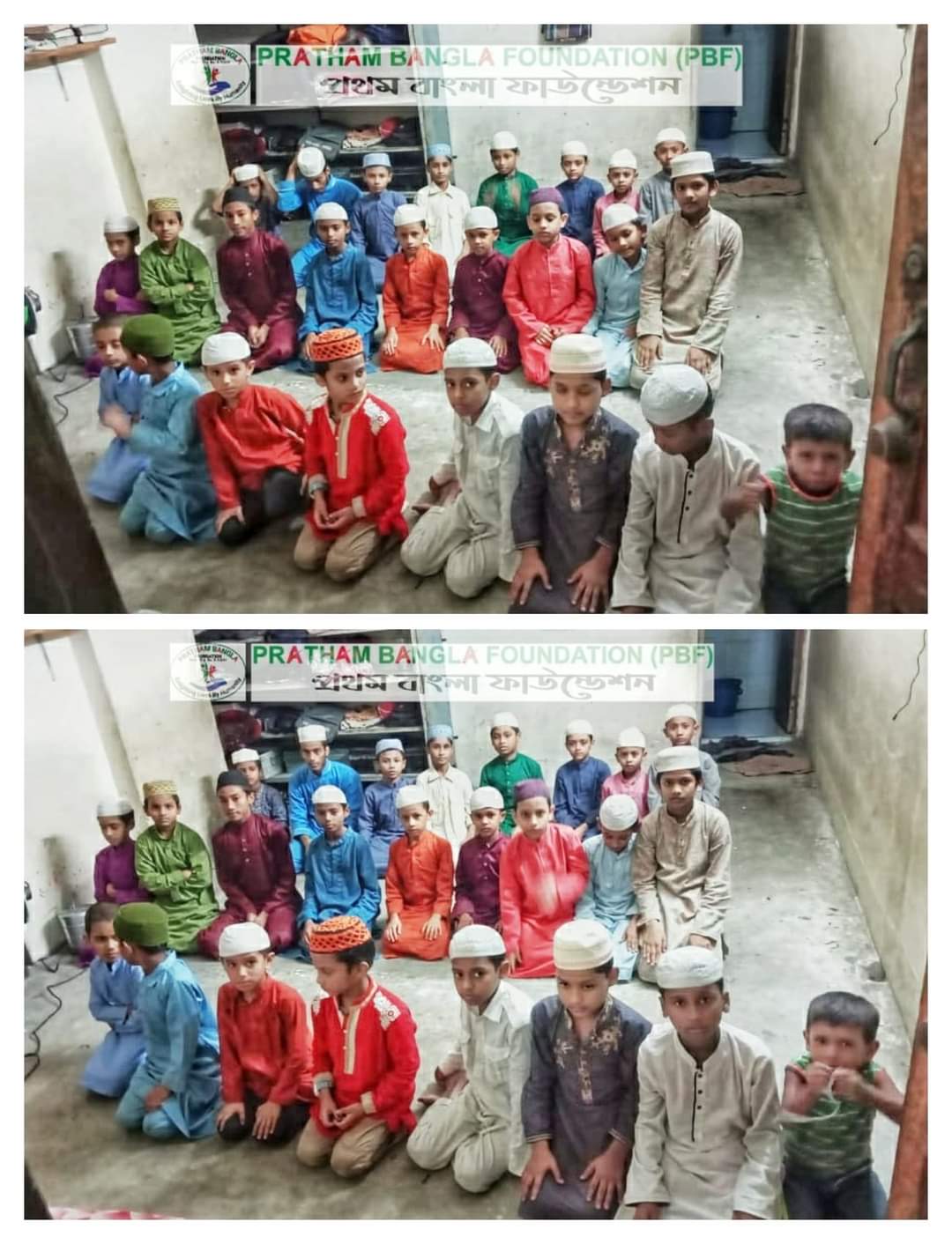 কুরআনের পাখি গুলো